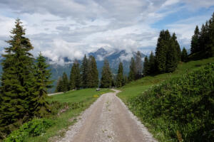 Wegwanderung_Hahnekamm_9489