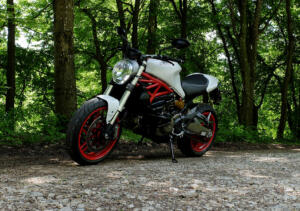 Monster821_wald_1800km