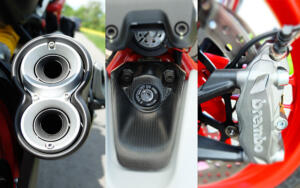 Monster_821_detail1 (1)