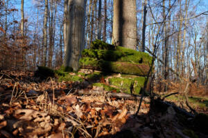 Tiefenbachtal_Nuertingen1