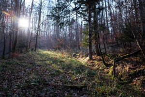 Tiefenbachtal_Nuertingen2